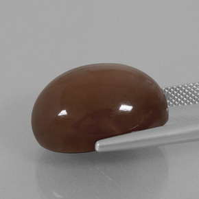 Pierre de lune marron naturelle coupe ovale, 22,96 ct, opaque