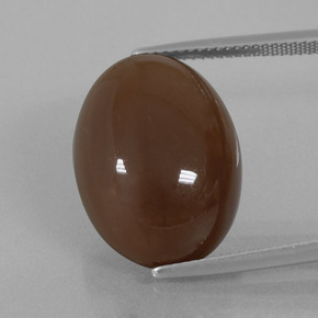 Pierre de lune brun chocolat naturelle coupe ovale, 20,25 ct, opaque