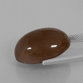 Pierre de lune brun chocolat naturelle coupe ovale, 20,25 ct, opaque