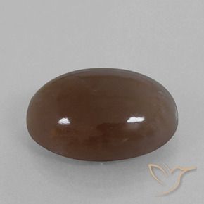 Pierre de lune Brun moyen naturelle ovale, 22.40 ct, Opaque