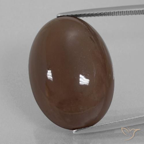 28.02ct Naturel Brun chocolat Pierre de lune, ovale, Opaque