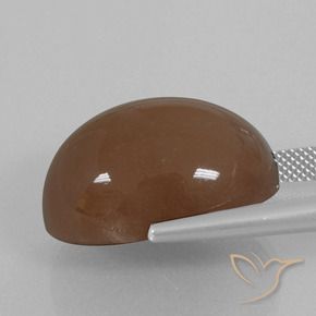 Pierre de lune Marron chaud naturelle ovale, 29.70 ct, Opaque