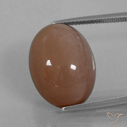 21.86ct Naturel Brun Pierre de lune, ovale, Opaque