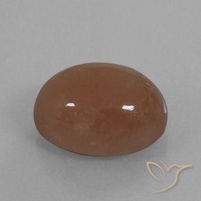 Pierre de lune Brun naturelle ovale, 21.86 ct, Opaque