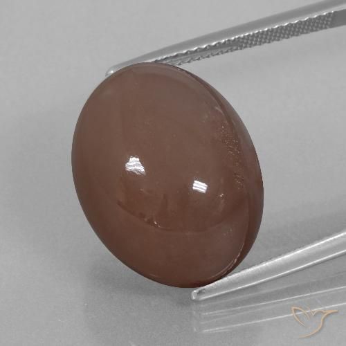 25.76ct Naturel Brun espresso Pierre de lune, ovale, Opaque