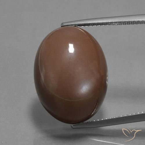 20.43ct Naturel Brun moyen Pierre de lune, ovale, Opaque