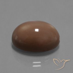 Pierre de lune Brun moyen naturelle ovale, 20.43 ct, Opaque