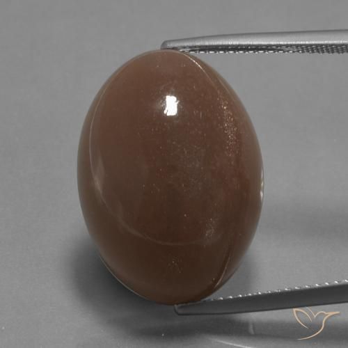 22.67ct Naturel Brun moyen Pierre de lune, ovale, Opaque