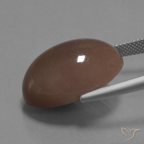 Pierre de lune Brun moyen naturelle ovale, 22.67 ct, Opaque
