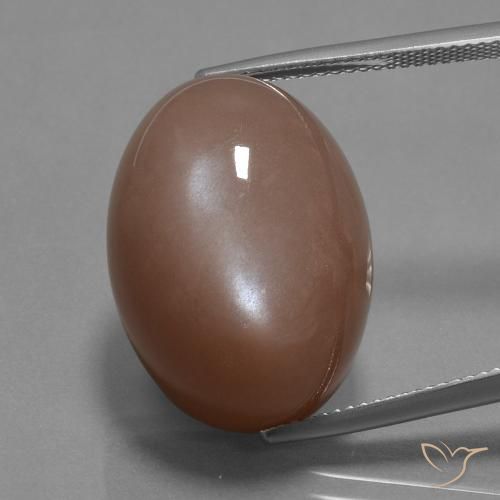 30.59ct Naturel Brun moyen Pierre de lune, ovale, Opaque