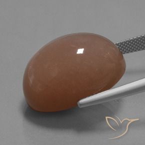 Pierre de lune Brun moyen naturelle ovale, 30.59 ct, Opaque