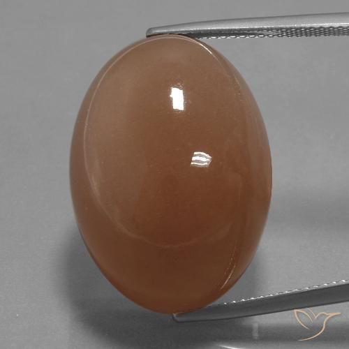 Pierre de Lune Marron chaud naturelle Coupe ovale, 44.65 ct, Opaque