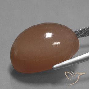Pierre de Lune Marron chaud naturelle Coupe ovale, 44.65 ct, Opaque
