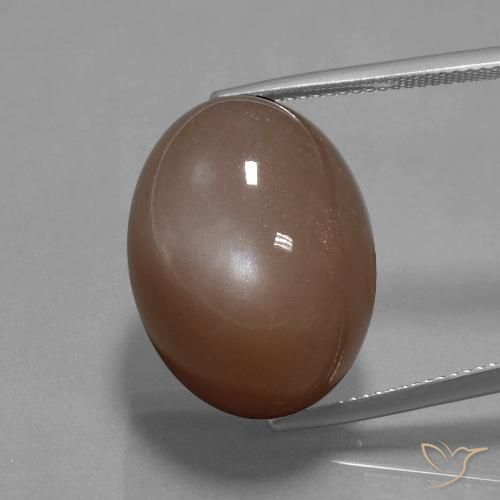 34.59ct Naturel Brun moyen Pierre de lune, ovale, Opaque