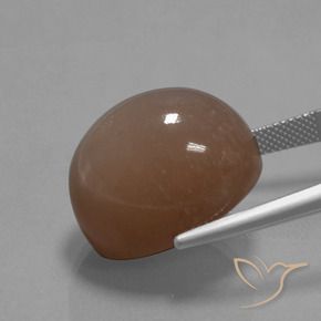 Pierre de lune Brun moyen naturelle ovale, 34.59 ct, Opaque