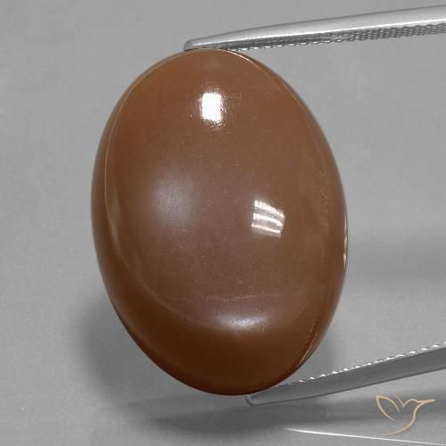 33.40ct Naturel Marron chaud Pierre de lune, ovale, Opaque