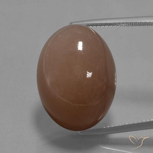 32.77ct Naturel Brun Pierre de lune, ovale, Opaque