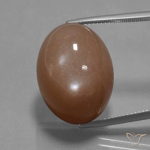 32.77ct Naturel Marron chaud Pierre de lune, ovale, Opaque