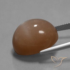 Pierre de lune Marron chaud naturelle ovale, 32.77 ct, Opaque