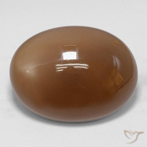 Pierre de lune Brun doré naturelle ovale, 30.74 ct, Translucide