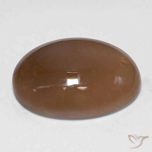 Pierre de lune Brun doré naturelle ovale, 30.74 ct, Translucide