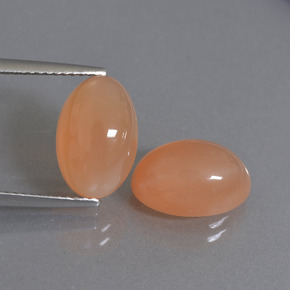 Achetez naturel 7,38ct orange pierre de lune gems, coupe ovale, en provenance inde chez gemselect. en stock, livraison internationale!