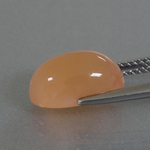 Pierre de lune orange naturelle coupe ovale, 3,49 ct, translucide
