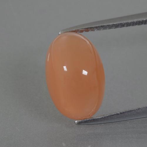 Pierre de Lune Pêche Orange naturelle Coupe ovale, 4.42 ct, Translucide