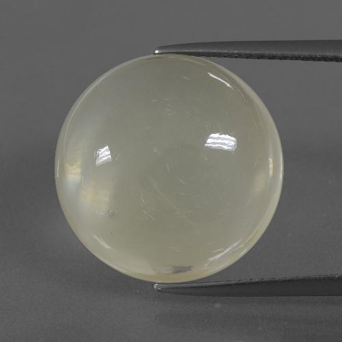 Pierre de lune jaune naturelle coupe roude, 14,39 ct, translucide