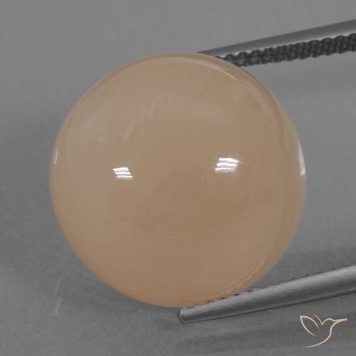 19.74ct Naturel Orange clair Pierre de lune, Tour, Translucide