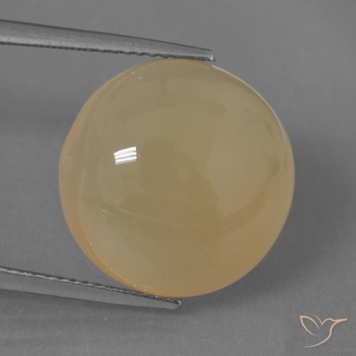 14.62ct Naturel Doré pêche léger Pierre de lune, Tour, Translucide