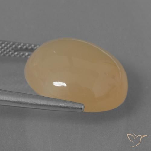 Pierre de lune Doré pêche léger naturelle Tour, 14.62 ct, Translucide