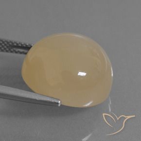 Pierre de lune Doré pêche léger naturelle Tour, 17.91 ct, Translucide