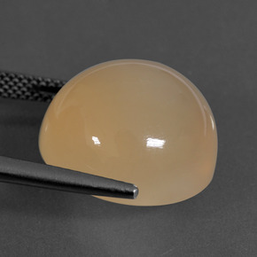 Pierre de Lune Orange moyen naturelle Coupe roude, 16.94 ct, Translucide