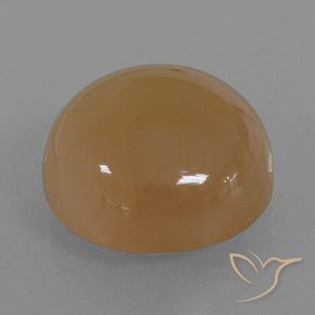 Pierre de lune Brun arachide léger naturelle Tour, 23.98 ct, Translucide