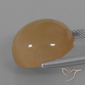 Pierre de lune Brun arachide léger naturelle Tour, 23.98 ct, Translucide
