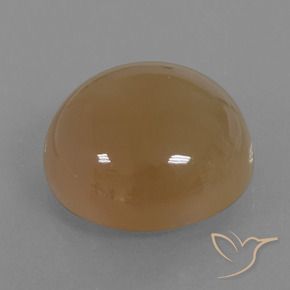 Pierre de lune Brun orangé naturelle Tour, 21.98 ct, Translucide
