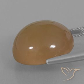 Pierre de lune Brun orangé naturelle Tour, 21.98 ct, Translucide