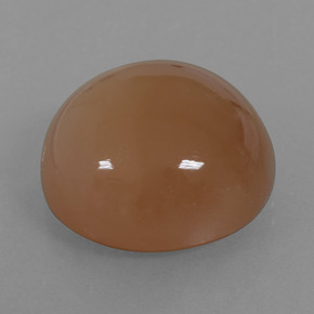 Pierre de Lune Marron chaud naturelle Coupe roude, 23.28 ct, Translucide