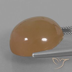 Pierre de lune Caramel brun naturelle Tour, 23.89 ct, Translucide