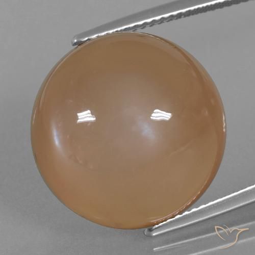 24.65ct Naturel Caramel brun Pierre de lune, Tour, Translucide