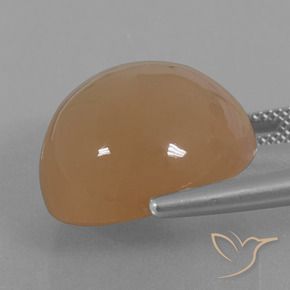 Pierre de lune Caramel brun naturelle Tour, 24.65 ct, Translucide