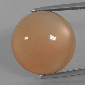 Pierre de lune orange naturelle coupe roude, 21,29 ct, translucide