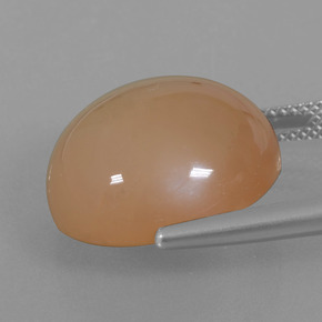 Pierre de lune orange naturelle coupe roude, 21,29 ct, translucide