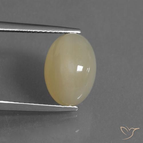 4.88ct Naturel Jaune clair Pierre de lune, ovale, Translucide