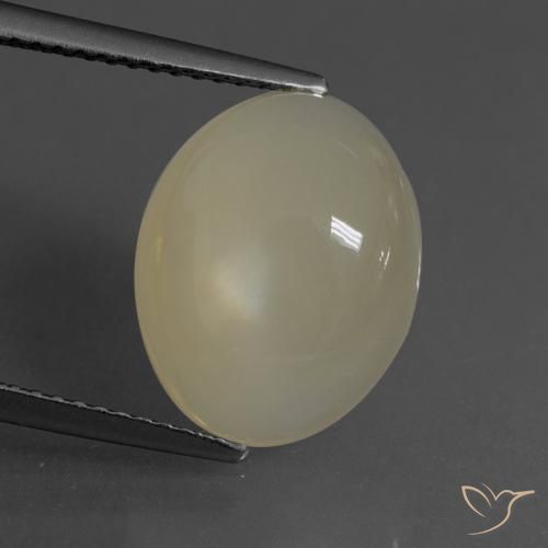 6.24ct Naturel Brun café léger Pierre de lune, ovale, Translucide