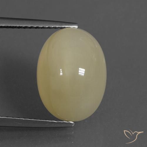8.81ct Naturel Brun café léger Pierre de lune, ovale, Translucide