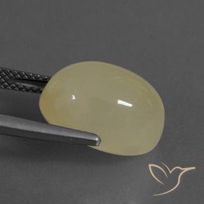 Pierre de lune Brun café léger naturelle ovale, 8.81 ct, Translucide