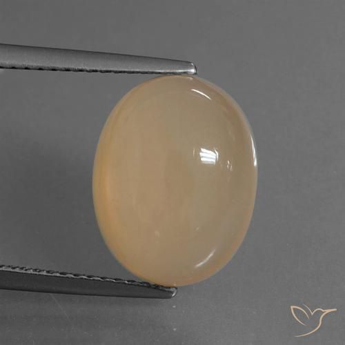 6.15ct Naturel Orange cantaloup Pierre de lune, ovale, Translucide