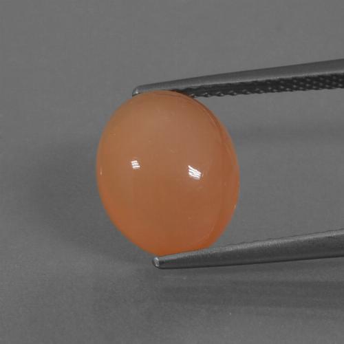 Pierre de Lune Orange clair naturelle Coupe ovale, 4.51 ct, Translucide